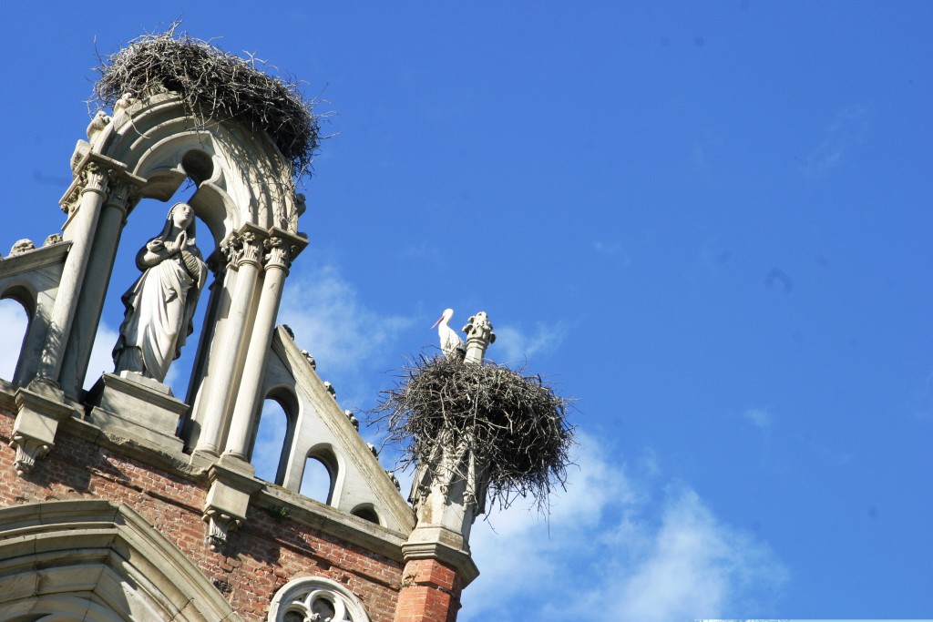 Racconigi_Margaria_dettagli 05