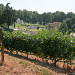 Villa della Regina, facente parte del sito delle “Residenze Sabaude” iscritto nella Lista del Patrimonio mondiale UNESCO nel 1997, ospita il Freisa di Chieri DOC Superiore “Vigna Villa della Regina”, unico vigneto urbano in Italia a produrre un vino cru certificato DOC.