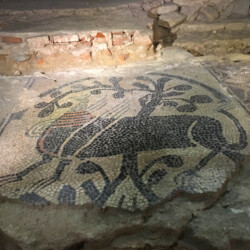 Mosaico pavimentale dell’Abbazia di Fruttuaria, facente parte dell’antica abbazia benedettina, datato tra la fine del XI e l’inizio del XII secolo, opera di mosaicista lombardo-piemontese, raffigurante un grifone, realizzato in tessere bianche e nere e inserti policromi, che compare sotto un’arcata di fronte all’albero della vita, motivo molto probabilmente derivato da modelli presenti nei tessuti orientali.