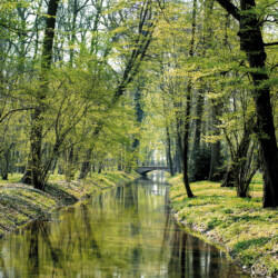 Progettato da Xavier Kurten, architetto paesaggista tedesco che introdusse lo stile del giardino romantico all'inglese in Piemonte agli inizi dell'Ottocento, il Parco del Castello di Racconigi si estende per circa 190 ettari e presenta un sistema di navigli (circa 2500 metri) in parte navigabili che scorrono sormontati dalla volta verde di querce e altre essenze.