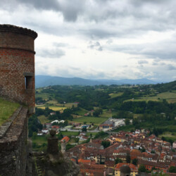 Dal Forte di Gavi la vista spazia sul territorio piemontese tra Mar ligure e Monferrato, dove prospera l’uva Cortese da cui si ricava Il Gavi o Cortese di Gavi, un vino bianco, oggi DOCG, che il re di Sardegna Vittorio Emanuele I preferì ai vini rossi dell’alto Piemonte, contribuendo a diffondere la coltivazione di questo vitigno.