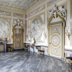 Nell’ambito dei cambiamenti voluti dal principe di Carignano Luigi Vittorio Ludovico tra il 1756 e il 1760, la sala mantenne traccia del preesistente arredo nei camini in marmo di Valdieri, disegnati da Guarino Guarini, ma fu trasformata dalla decorazione ideata dall’architetto Giovanni Battista Borra ed eseguita dallo stuccatore luganese Carlo Giuseppe Bolina. Le opere esaltano la figura mitologica di Diana, dea della caccia, per alludere alle virtù e alla dignità delle principesse di casa Savoia.