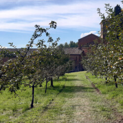 Il complesso romanico di Santa Maria di Vezzolano è circondato da uno spazio verde di circa 6000 mq. Sul sagrato si trovano un cipresso, due palme e cespugli di rose canine. Il giardino del chiostro è stato realizzato nel 2002 da Renata Lodari, con un ginepro centrale, aiuole di bosso, rose antiche, iris, gigli e pervinche. Sul retro si trova il frutteto che comprende ventuno varietà di mele antiche autoctone, secondo un progetto avviato nel 1996 da Leonardo Mosso e Carlo Fruttero.